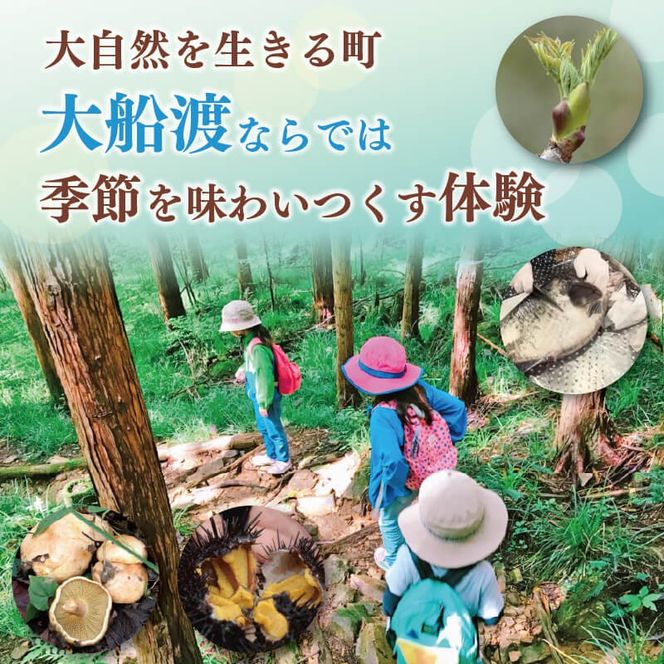 季節の三陸体験 体験チケット (1名様分/1体験) 三陸アクティブ 三陸 大船渡 体験 体験チケット チケット 夏休み 冬休み 春休み [active003]