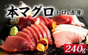 本マグロ（養殖）トロ＆赤身セット　240g［KS11］ 304018_CG1001
