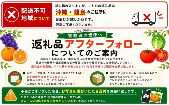 甘さが違う！とっても甘くなる生渋柿（平たねなし柿）あんぽ柿用 T軸枝無  約4.5～5kg　約24～30個＜2026年10月中旬～11月上旬ごろ順次発送＞-AP【art003B】