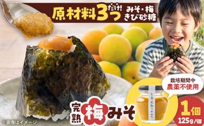糸島完熟うめみそ 1個 糸島市 / 糸島げんき工房[AKR003]
