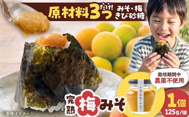 糸島完熟うめみそ 1個 糸島市 / 糸島げんき工房[AKR003]