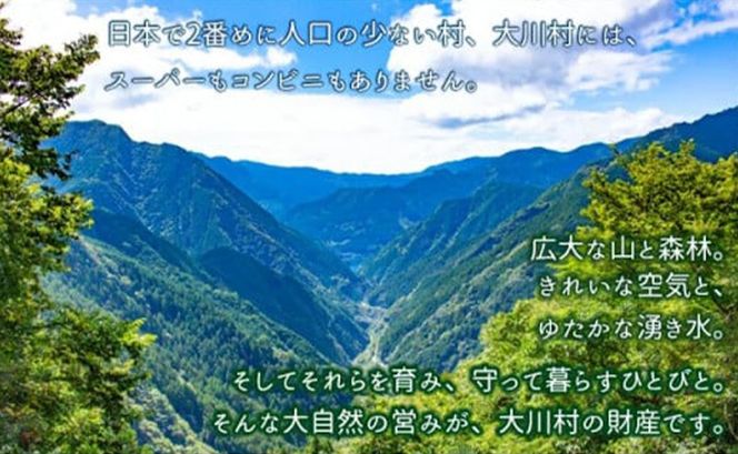 ハンバーグ セット （150g×8個+はちきん地鶏 ポン酢200ml） 土佐はちきん地鶏 ow-0022