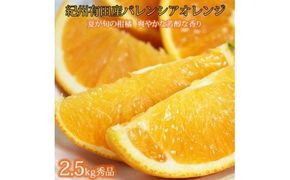  【先行予約】 秀品 希少な 国産 バレンシア オレンジ 2.5kg / みかん フルーツ 果物 柑橘 ※2027年6月下旬〜7月上旬頃順次発送（お届け日指定不可） ※離島への配送不可【uot752】