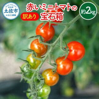 【訳あり】【先行予約】訳あり 赤いミニトマトの宝石箱 約2kg / 家族・大切な方と楽しむ食べ比べセット〈2026年11月下旬～2027年5月下旬まで〉 トマト とまと ミックス 詰め合わせ セット 野菜 料理 サラダ マリネ パスタ 浅漬け おやつ 弁当 甘味 酸味 新鮮 高知県 土佐市【ファーム輝】 [BQBM010]