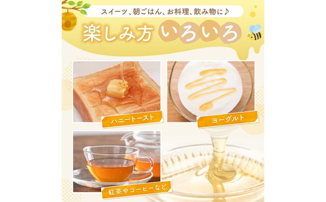 KYOTOTANGOHONEY森の百花蜜純粋天然ハチミツ200g×2本（ボトル）蜂蜜・はちみつ・国産・天然・ハチミツ　RM00030