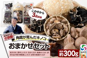 みちのくの小京都・角館が育んだ「おまかせセット」（桜えのき、原木しいたけ、生きくらげ、乾燥きくらげ、訳あり出汁取り用乾燥しいたけ、訳あり乾燥きくらげ）合計約300g(3品前後) [えのき エノキ しいたけ 椎茸 シイタケきくらげ 木耳 キクラゲ 園主おすすめ 生 乾燥 出汁 訳あり 秋田県 仙北市 角館]|02_sne-010101