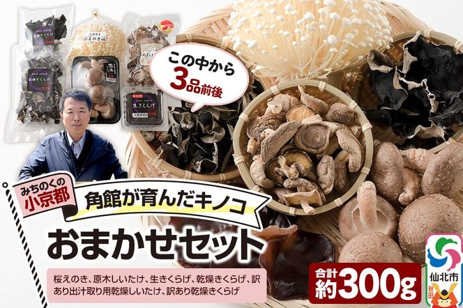 みちのくの小京都・角館が育んだ「おまかせセット」（桜えのき、原木しいたけ、生きくらげ、乾燥きくらげ、訳あり出汁取り用乾燥しいたけ、訳あり乾燥きくらげ）合計約300g(3品前後) [えのき エノキ しいたけ 椎茸 シイタケきくらげ 木耳 キクラゲ 園主おすすめ 生 乾燥 出汁 訳あり 秋田県 仙北市 角館]|02_sne-010101