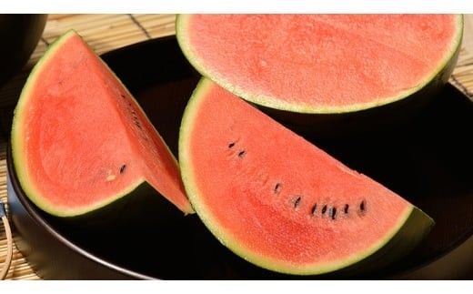 【 JA北つくば 】 黒こだますいか 「 誘惑のひとみ 」 1玉 2026年産 スイカ 果物 フルーツ 小玉スイカ 小玉 西瓜 くだもの デザート 茨城 [AE056ci]