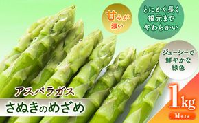 砂川さんの特選 アスパラ 1kg Mサイズ【さぬきのめざめ】 アスパラガス 冷蔵便 野菜 甘い 美味しい グリーンアスパラ 1万円以下 野菜セット 新鮮 旬 とれたて お取り寄せ 小分け BBQ 自宅用 家庭用 