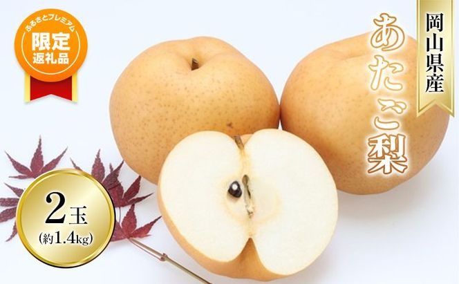 [ふるプレ限定品]梨 2026年 先行予約 あたご梨 2玉 青秀以上 (約1.4kg) 化粧箱入り