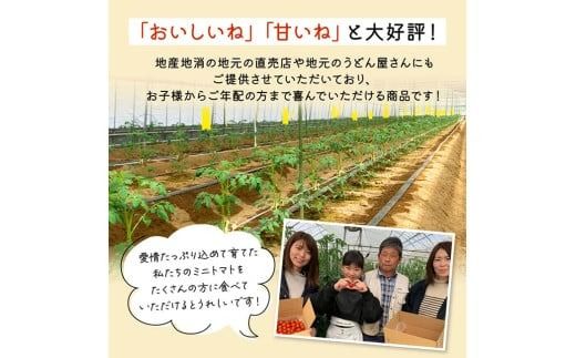 宮崎県産完熟ミニトマト「アルル」1kg 【 新鮮 アルル ミニトマト とまと 野菜 産地直送 宮崎県産川南町産 送料無料 】[C11801]