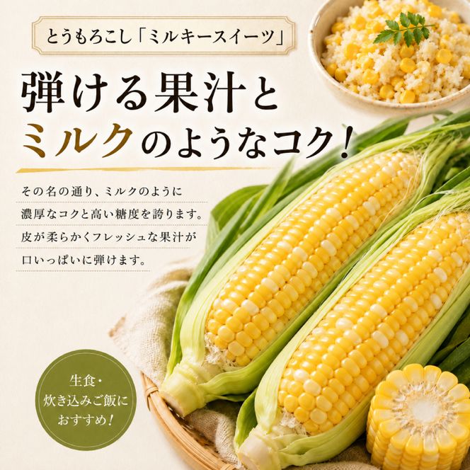 小笠原農園の有機とうもろこし「ミルキースイーツ」10本【北海道十勝幕別】《2026年8月出荷開始先行予約》【 スイートコーン コーン とうもろこし とうきび 黄色 野菜 夏 北海道 幕別町 】 
