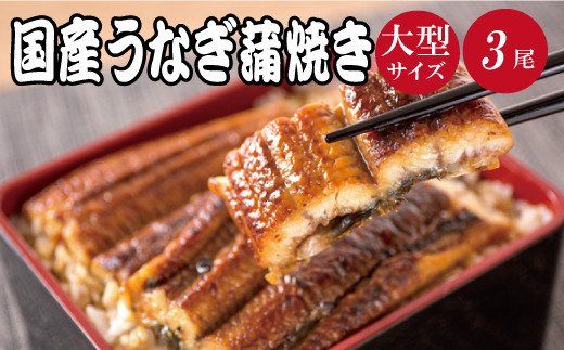 大型サイズ　ふっくら柔らか国産うなぎ蒲焼き　３尾【uot303A-3】