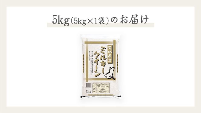 《 令和7年産 》 茨城県産 ミルキークイーン ( 5kg × 1袋 )  期間限定 米 コメ こめ 五ツ星 高品質 白米 精米 時短 単一米 [AC036us]