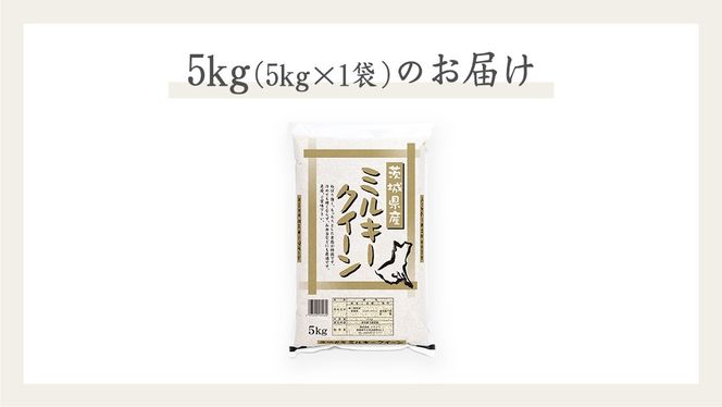 《 令和6年産 》 茨城県産 ミルキークイーン ( 5kg × 1袋 )  期間限定 米 コメ こめ 五ツ星 高品質 白米 精米 時短 単一米 新米 [AC036us]