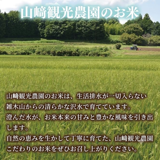 ＼先行予約・令和8年産・10kg／山﨑観光農園のお米　コシヒカリ　白米10kg｜栃木県 益子町 ふるさと納税 お米 コシヒカリ 白米 精米 10kg（AU045）