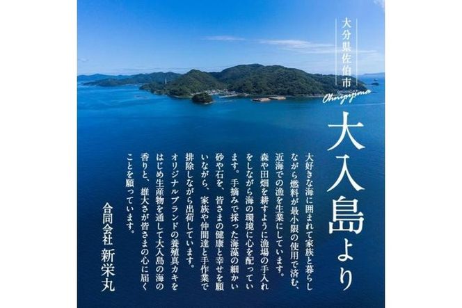 真ガキ 大入島オイスター (約1.3kg) 牡蠣 カキ 貝 海鮮 魚介類 冷蔵 生食可 シングルシード 養殖 大分県 佐伯市【ED08】【(合)新栄丸】