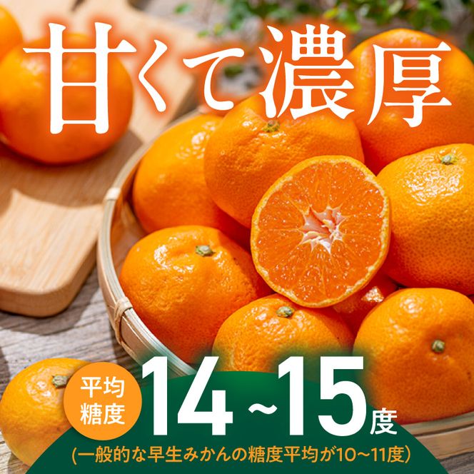 【2026年先行予約】「高級 田村みかん」 青秀 約10kg Sサイズ 和歌山県有田産 有田みかん_U6244
