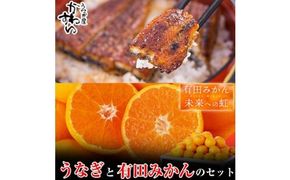 【コラボ】国産うなぎ蒲焼き大サイズ２本セット(うなぎの肝吸い2食付き)＆有田みかん「未来への虹」（5kg）(A1125-1)
