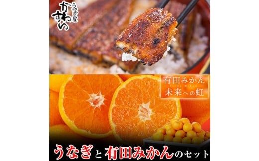【コラボ】国産うなぎ蒲焼き大サイズ２本セット(うなぎの肝吸い2食付き)＆有田みかん「未来への虹」（5kg）(A1125-1)