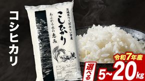 ＼ 2026年2月出荷 ／ コシヒカリ 5kg / 10kg / 15kg / 20kg 令和7年産精米【 数量限定 】茨城県つくばみらい市産 米 コメ 単一米 11000 22000 33000 44000 茨城県産 国産 即納 スピード配送 すぐ届く 発送 早い 即発送 コスパ こしひかり 即日発送