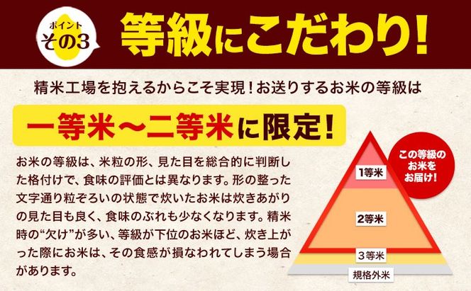 【18ヶ月定期便】令和7年産 森のくまさん 白米 20kg 5kg×4袋 計18回お届け 《お申込み翌月から出荷》 お米 こめ 熊本県産 ご飯 備蓄---mk7tei_700200_20kg_mo18_ng_h---