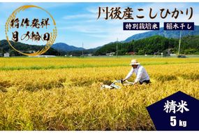 2025年産 京丹後産稲作発祥の地コシヒカリ特別栽培米 月の輪田米 精米5kg（天日干し）　WK00002