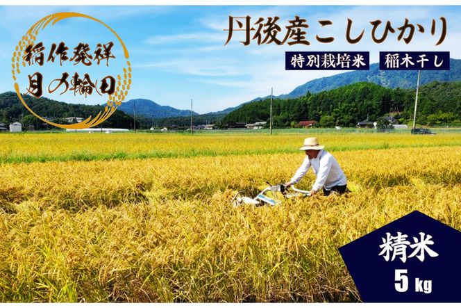 ys{Osz2025NY OY씭˂̒nRVqJʍ͔| ̗֓c 5kgiVj@WK00002