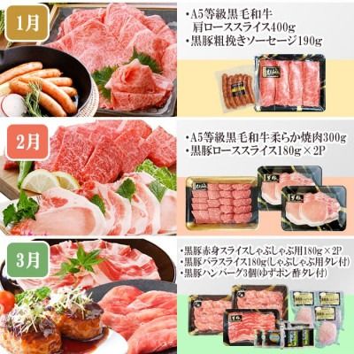 定期便(1年で10回配送)お楽しみ便(A5等級黒毛和牛・鹿籠豚(黒豚)・かご豚加工品等HH-6004 【1166752】