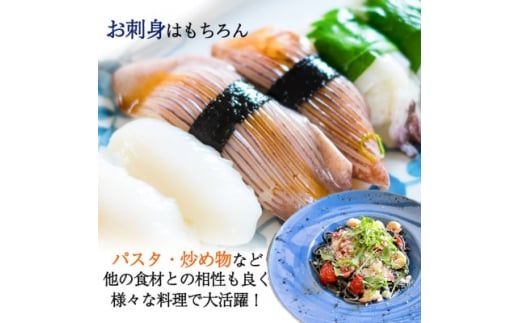 岬だよりのお刺身用天然コウイカ1.2kg(4～5杯)
