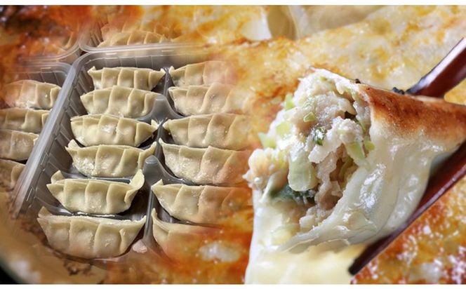 鉄板餃子歩夢　手作り餃子　1kg（和豚もちぶた使用） 【 手作り餃子 仙台 歩夢冷凍 パリパリ ジューシー肉汁 焼き餃子 家庭用 惣菜 】 041009_HV001