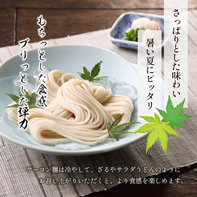【 小豆島 】小豆島手延べヤーコン麺 160g×12袋 手延べ そうめん 素麺 小豆島 土庄町 麺 ヤーコン ヤーコンめん