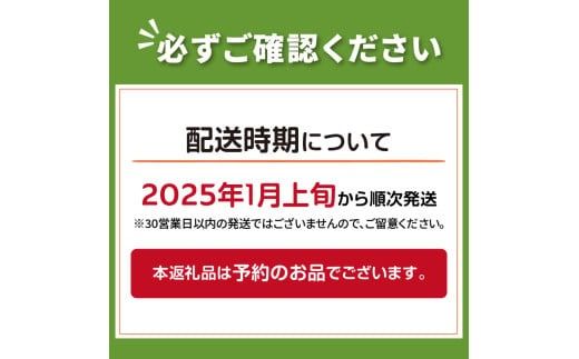 【予約：2025年1月上旬から順次発送】ちょこっと使いにも便利♪ピンクにんにくチップ 1袋 ( にんにく 産地直送 調味料 ニンニク チップ )【143-0002-2025】