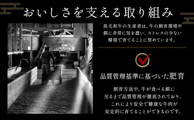 リブ or サーロイン ステーキ 500g 1000g 1500g 数量限定 牛肉 冷凍 黒毛和牛 《30日以内に出荷予定(土日祝除く)》 個別 取分け 小分け 個包装 赤身 霜降り 岡山県 矢掛町 牛 牛肉 和牛 ステーキ グルメ 小分け 小分けパック 250g 送料無料---ofn_fste_30d_25_14000_500---