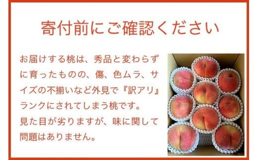 【訳あり】季節の桃 約3kg［新規就農者応援コース 幸作会］フルーツ 果物 桃 もも モモ 長野県産 信州産 令和7年産【2025年7月下旬～9月上旬発送】 ［K-24］