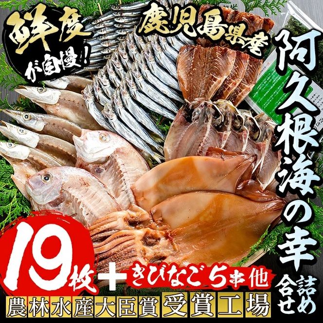 鹿児島県産！干物詰め合わせ＜8種＞国産 九州産 鹿児島産 干物 ひもの 乾物　鯛 タイ 鯵 アジ かます いか きびなご ウルメ あおさのり セット 詰合せ【又間水産】akn001-06