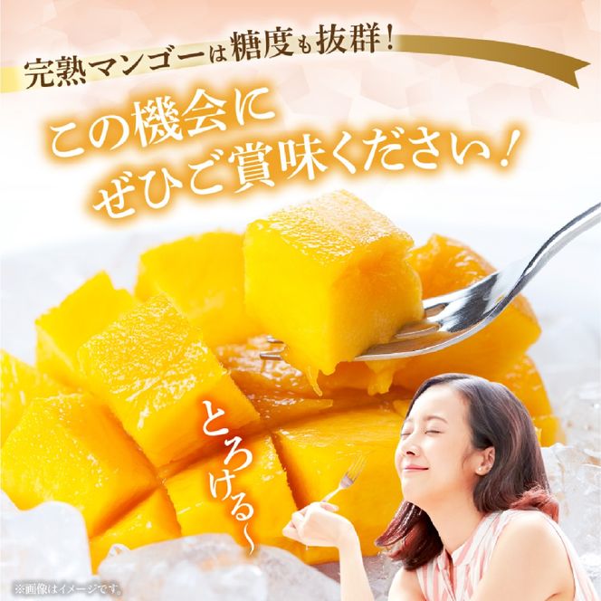 【2026年発送 先行予約】生産農家応援・濃厚果肉 みやざき完熟マンゴー極撰 2L×3玉（マンゴー フルーツ アップルマンゴー 果物 くだもの 2026 先行受付 宮崎）