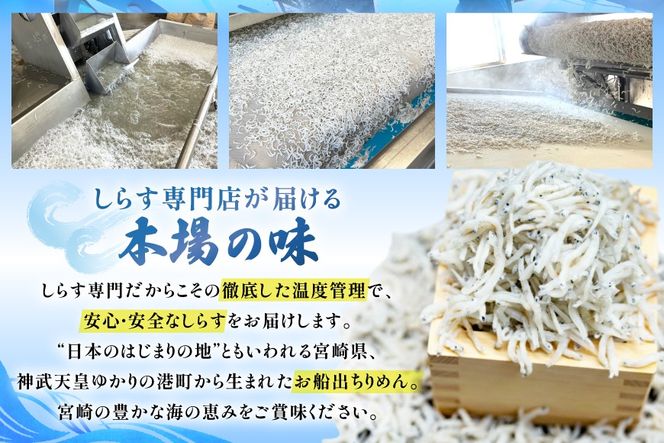 ちりめん 宮崎県産 無添加 ちりめんじゃこ 120g 6p 計720g [幸脇漁業生産組合 宮崎県 日向市 452061654] じゃこ 国産 しらす干し 小分け ジャコ 保存料不使用