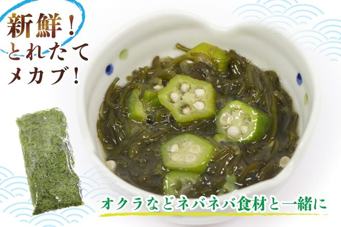 めかぶ 釜ゆで ボイルメカブ 300g 4p 計1.2kg [足利本店 宮城県 気仙沼市 20565566] メカブ 無添加 海鮮丼 海藻 ネバネバ 個包装 国産 冷凍