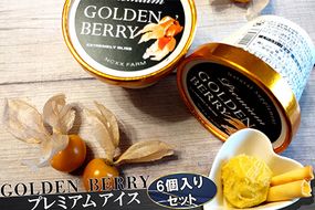 ネクスファームのゴールデンベリープレミアムアイス　6個入りセット 【1939】