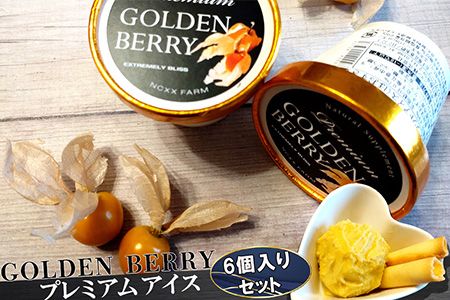 ネクスファームのゴールデンベリープレミアムアイス　6個入りセット 【1939】