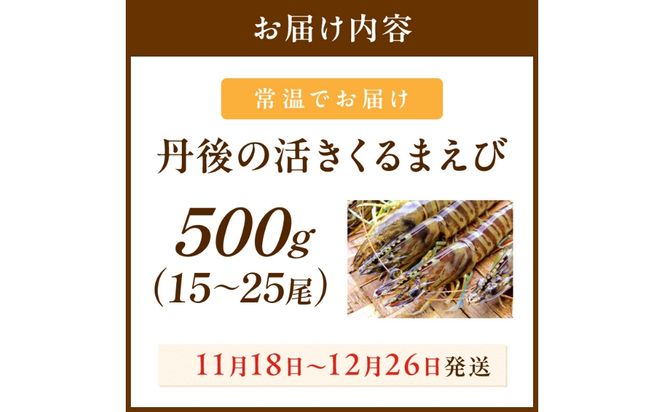 丹後の活きくるまえび 500g（15～25尾）　MN00068