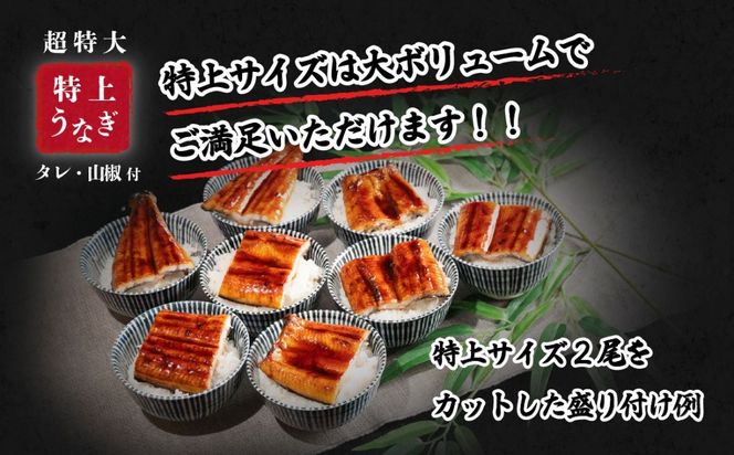  国産 うなぎ 蒲焼 山椒付き 【サイズ・容量・ギフト・発送時期が選べる】 特上2尾 550g以上 (カット加工有・無) / 3尾 380g以上 / 5尾 640g以上 ウナギ 鰻 ふぞろい 不揃い うな重 ひつまぶし 人気 茨城 八千代町 ふるさと納税 冷凍 タレ 山椒 化粧箱 父の日 母の日 ギフト お中元 お歳暮 [SF045ya00]
