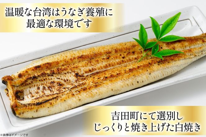 うなぎ 台湾産 うなぎ白焼 150g×3尾 タレ 山椒 セット [むらた商会 静岡県 吉田町 22424739] 鰻 ウナギ たれ 蒲煮 かばに 惣菜 おかず 冷凍