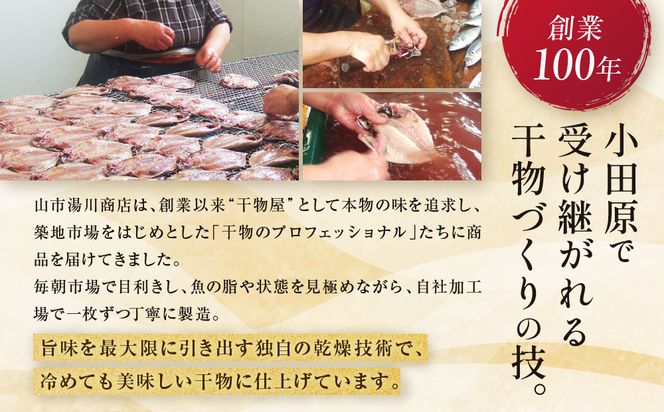 【国産】おまかせ干物セット 梅コース【お取り寄せ 海鮮 グルメ ギフト プレゼント 産地直送 産直 魚 手作り ひもの 詰め合わせ お中元 お歳暮 父の日 母の日 誕生日 自宅用 贈答品 贈答用 朝食 バーベキュー 神奈川県 小田原市 】 142069_AM003