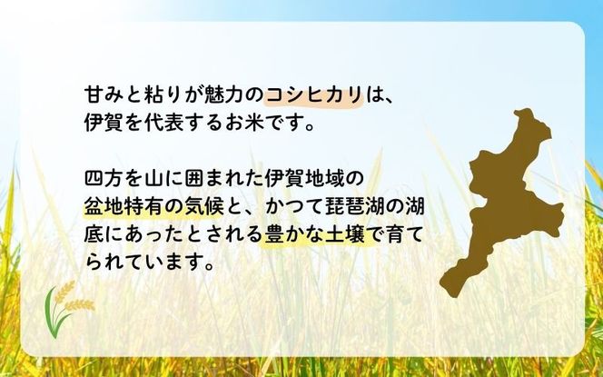 令和7年産 無洗米 伊賀米コシヒカリ 10kg（5kg×2）【jaig0005】