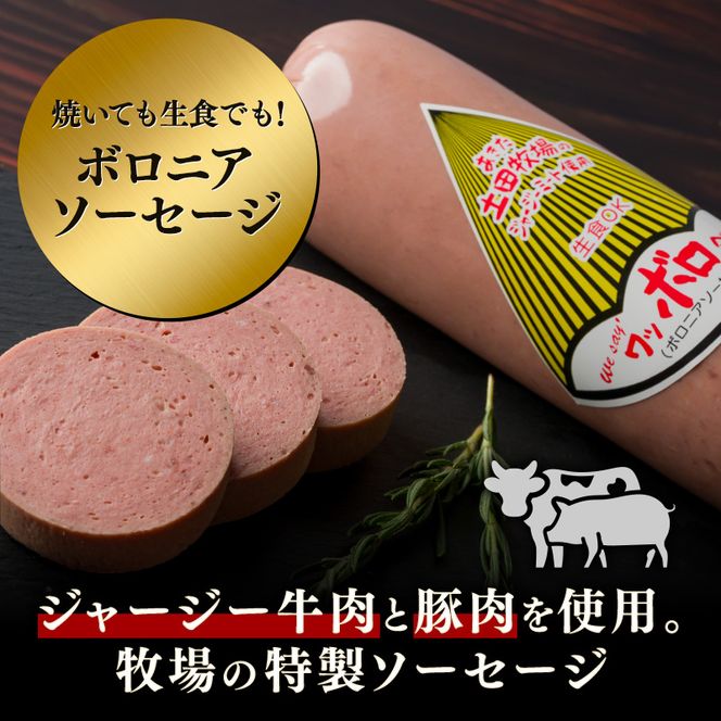 生食OK！ジャージーミート使用 ボロニアソーセージ500g×1本