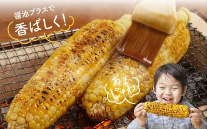 ドルチェドリーム 約2kg(高松市)【2027-6月上旬～2027-7月上旬配送】 372013_T006-205J