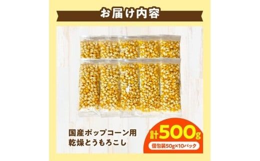 国産ポップコーン用（乾燥とうもろこし）　500g（個包装50g×10パック） 【 数量限定 期間限定 宮崎県産 ポップコーン 】[C07109]