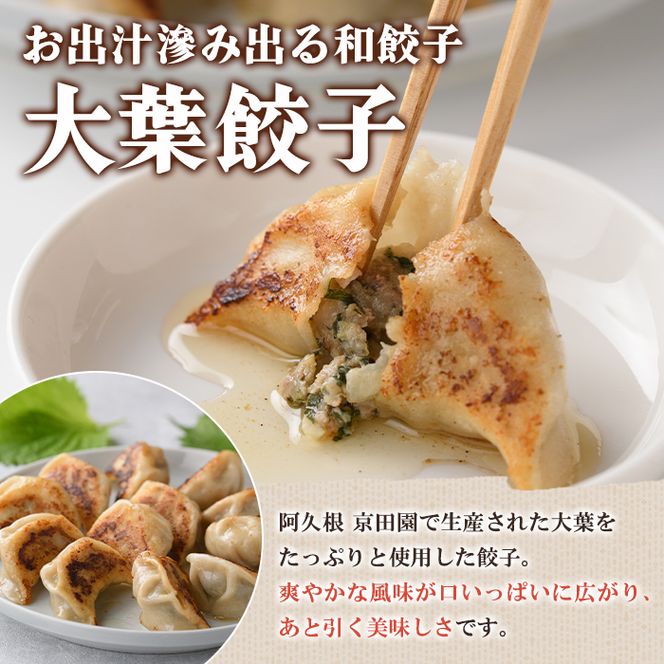 大葉餃子(12個入×4袋・計48個) 餃子 生餃子 ギョウザ ぎょうざ ギョーザ セット 詰め合わせ おかず お惣菜 冷凍 和風 水餃子 大葉 手作り 【餃子のはま田】akn096-02